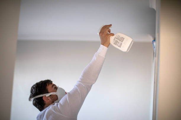 Best Best Mold Removal Companies  in Bridgman, MI
