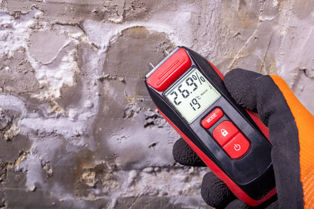 Mold Testing and Removal in Bridgman, MI