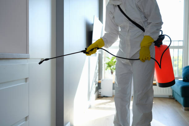 Best Affordable Mold Removal  in Bridgman, MI
